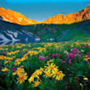 Meet your Posher, Jenny